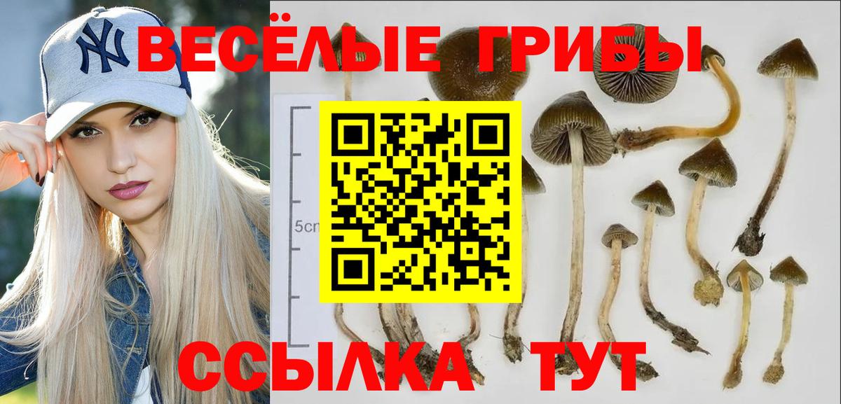 Сафоново  Галлюциногенные грибы мухоморы  Вход с VPN 