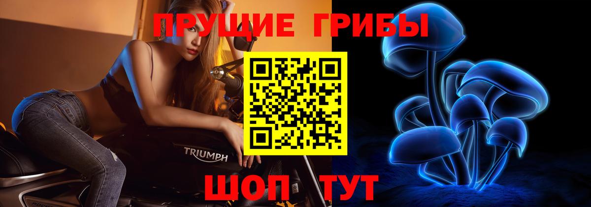 Псилоцибиновые грибы ЛСД Сафоново